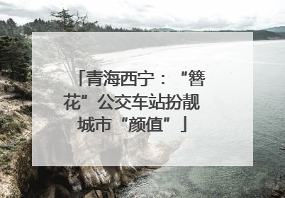 青海西宁：“簪花”公交车站扮靓城市“颜值”