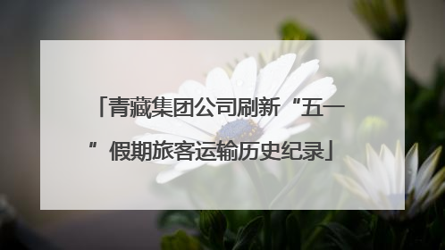 青藏集团公司刷新“五一”假期旅客运输历史纪录