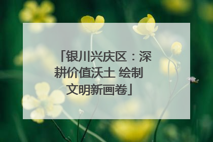 银川兴庆区：深耕价值沃土 绘制文明新画卷