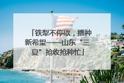 铁犁不停歇，播种新希望——山东“三夏”抢收抢种忙