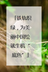 铁轨织绿，为美丽中国绘就生机“底色”
