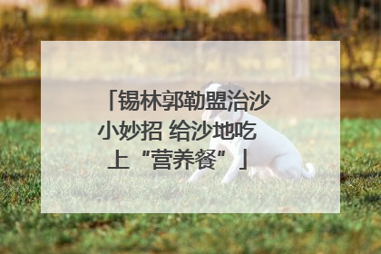 锡林郭勒盟治沙小妙招 给沙地吃上“营养餐”
