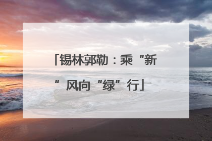 锡林郭勒：乘“新”风向“绿”行