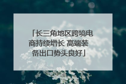 长三角地区跨境电商持续增长 高端装备出口势头良好