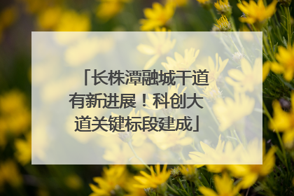 长株潭融城干道有新进展！科创大道关键标段建成