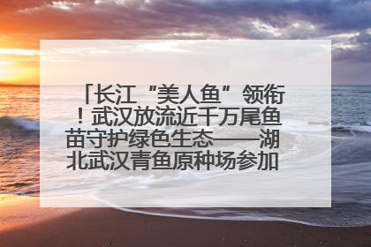长江“美人鱼”领衔！武汉放流近千万尾鱼苗守护绿色生态——湖北武汉青鱼原种场参加2025年“全国放鱼日”增殖放流活动