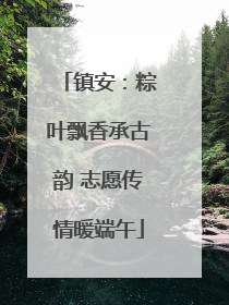 镇安：粽叶飘香承古韵 志愿传情暖端午