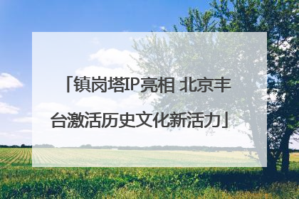 镇岗塔IP亮相 北京丰台激活历史文化新活力