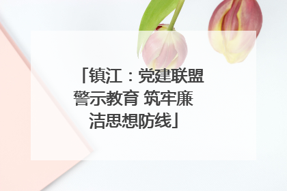 镇江：党建联盟警示教育 筑牢廉洁思想防线