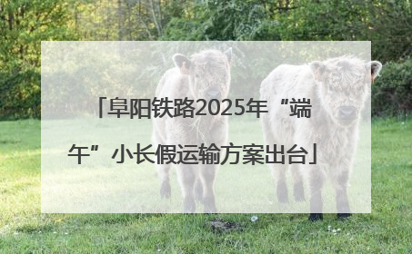 阜阳铁路2025年“端午”小长假运输方案出台