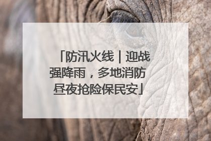 防汛火线｜迎战强降雨，多地消防昼夜抢险保民安