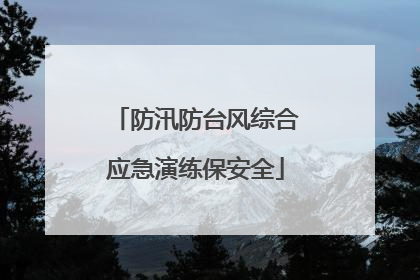 防汛防台风综合应急演练保安全