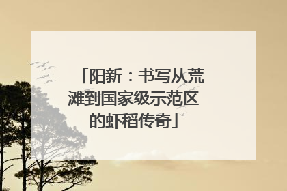 阳新：书写从荒滩到国家级示范区的虾稻传奇