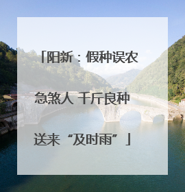 阳新：假种误农急煞人 千斤良种送来“及时雨”