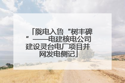 陇电入鲁“树丰碑”——电建核电公司建设灵台电厂项目并网发电侧记