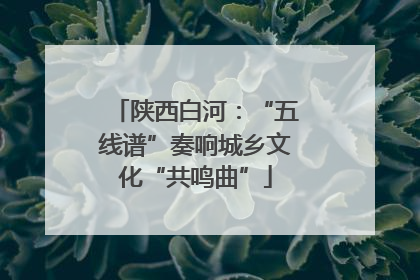 陕西白河：“五线谱”奏响城乡文化“共鸣曲”