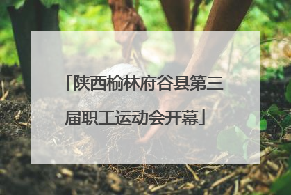 陕西榆林府谷县第三届职工运动会开幕