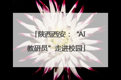 陕西西安：“AI教研员”走进校园
