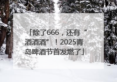 除了666，还有“酒酒酒”！2025青岛啤酒节首发燃了