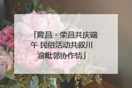 隆昌・荣昌共庆端午 民俗活动共叙川渝毗邻协作情