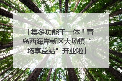 集多功能于一体！青岛西海岸新区大场镇“场享益站”开业啦