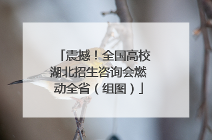 震撼！全国高校湖北招生咨询会燃动全省（组图）
