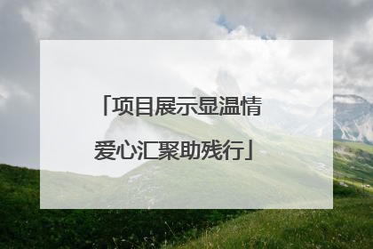 项目展示显温情 爱心汇聚助残行