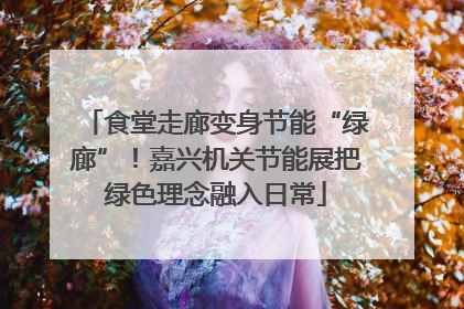 食堂走廊变身节能“绿廊”！嘉兴机关节能展把绿色理念融入日常