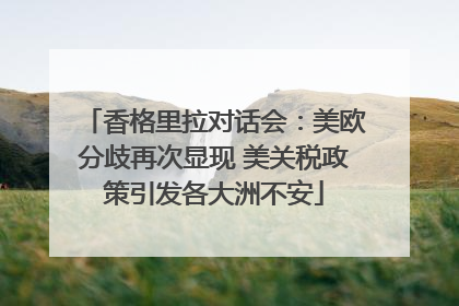 香格里拉对话会：美欧分歧再次显现 美关税政策引发各大洲不安