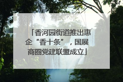 香河园街道推出惠企“香十条”，国展商圈党建联盟成立