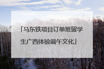 马东铁项目订单班留学生广西体验端午文化