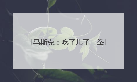 马斯克：吃了儿子一拳