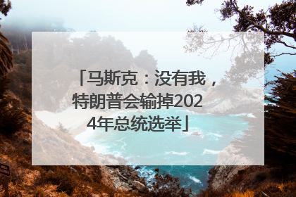 马斯克：没有我，特朗普会输掉2024年总统选举