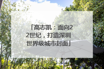 高志凯：面向22世纪，打造深圳世界级城市封面