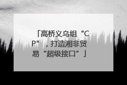 高桥义乌组“CP”，打造湘非贸易“超级接口”
