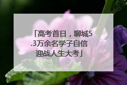 高考首日，聊城5.3万余名学子自信迎战人生大考