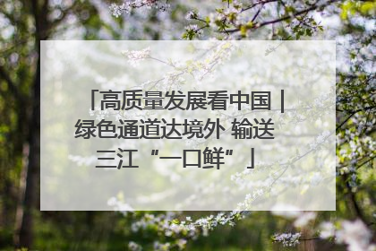 高质量发展看中国｜绿色通道达境外 输送三江“一口鲜”