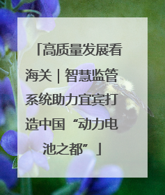 高质量发展看海关｜智慧监管系统助力宜宾打造中国“动力电池之都”