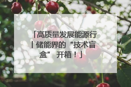 高质量发展能源行丨储能界的“技术盲盒” 开箱！