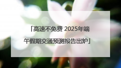 高速不免费 2025年端午假期交通预测报告出炉
