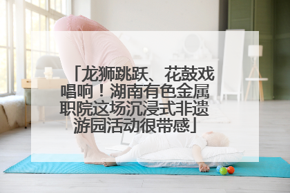 龙狮跳跃、花鼓戏唱响！湖南有色金属职院这场沉浸式非遗游园活动很带感