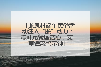龙凤村端午民俗活动注入“廉”动力：粽叶裹紧廉洁心，艾草锤敲警示钟