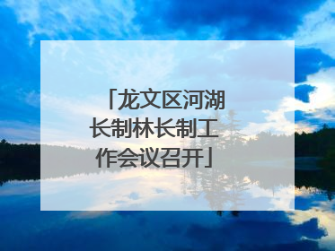 龙文区河湖长制林长制工作会议召开