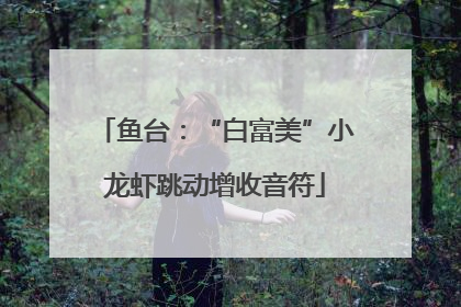 鱼台：“白富美”小龙虾跳动增收音符