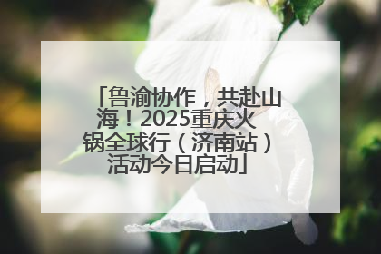鲁渝协作，共赴山海！2025重庆火锅全球行（济南站）活动今日启动