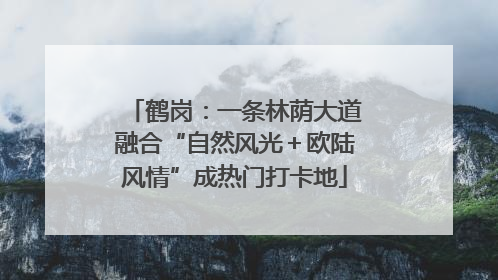 鹤岗：一条林荫大道融合“自然风光＋欧陆风情”成热门打卡地