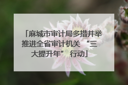 麻城市审计局多措并举推进全省审计机关 “三大提升年” 行动