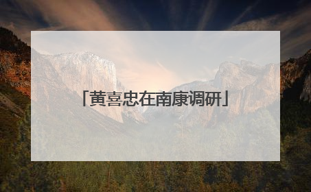 黄喜忠在南康调研