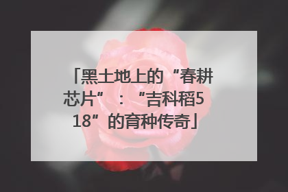 黑土地上的“春耕芯片”：“吉科稻518”的育种传奇