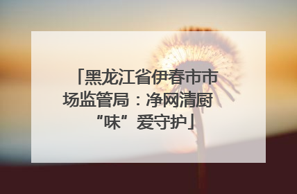 黑龙江省伊春市市场监管局：净网清厨 “味”爱守护